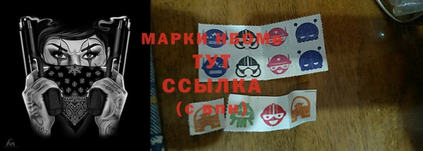 кокс Инта