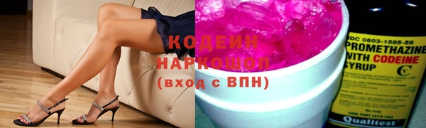 шишки Инсар