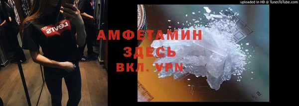 шишки Инсар