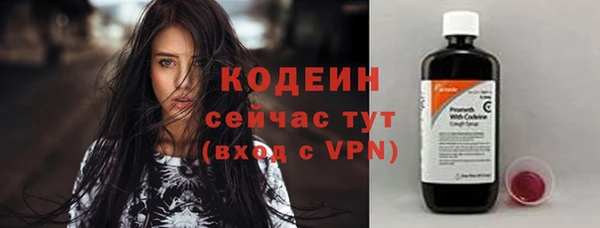 дживик Иннополис
