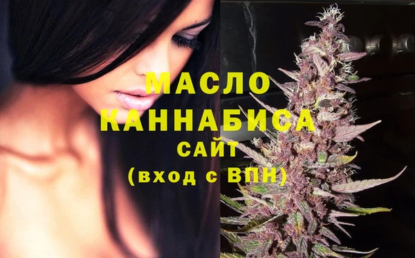 шишки Инсар