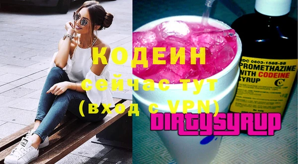 шишки Инсар