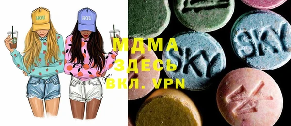 шишки Инсар