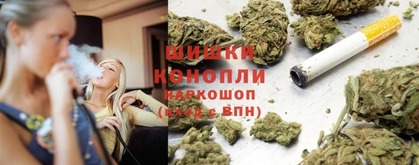 шишки Инсар