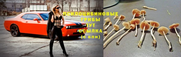 дживик Иннополис