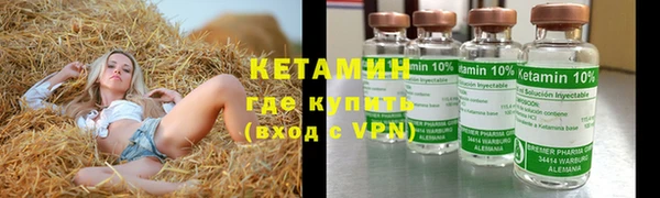 шишки Инсар