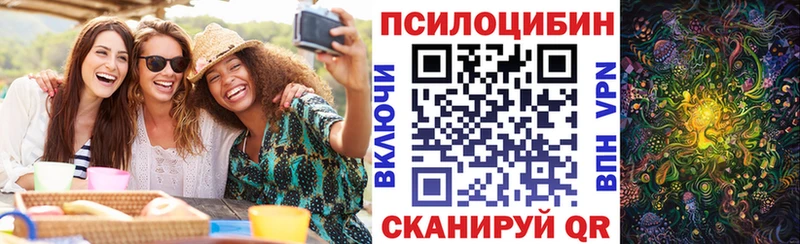 Купить закладки  Енисейск  Псилоцибиновые грибы Cubensis 